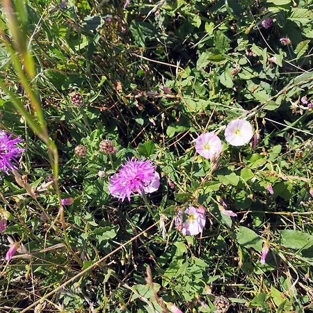 3 Person In Karrebaeksminde-by Traum بيت للعطل *