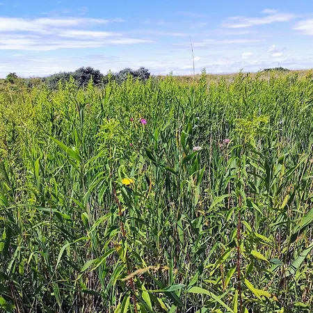 3 Person In Karrebaeksminde-by Traum *